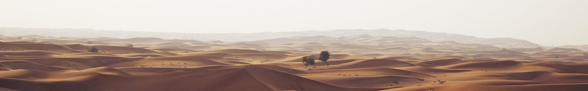 ŵ죨̰޹˾